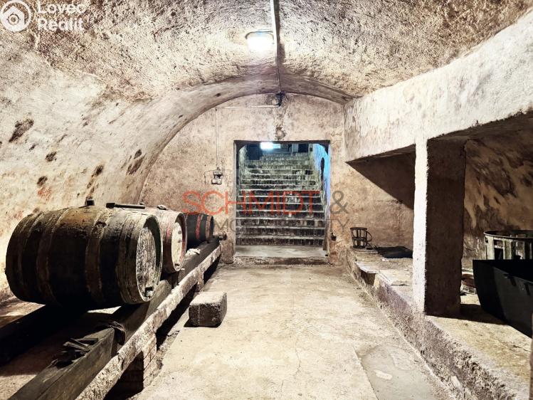 Prodej rodinného domu Hustopeče, Na Hradbách 800/2 č. 18