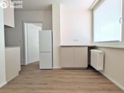 Pronájem bytu 2+1 Praha, Krhanická č. 2