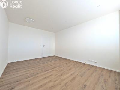 Pronájem bytu 2+1 Praha, Krhanická č. 5