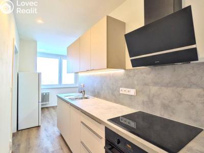 Pronájem bytu 2+1 Praha, Krhanická č. 4