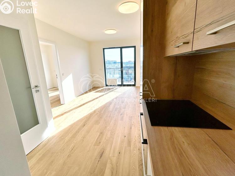 Pronájem bytu 2+KK Praha, Hasilova 3113/4 č. 2