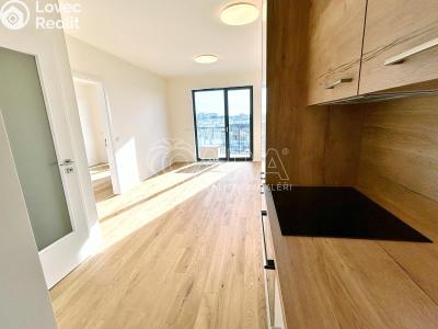 Pronájem bytu 2+KK Praha, Hasilova č. 2