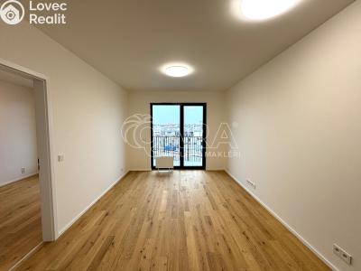 Pronájem bytu 2+KK Praha, Hasilova č. 5