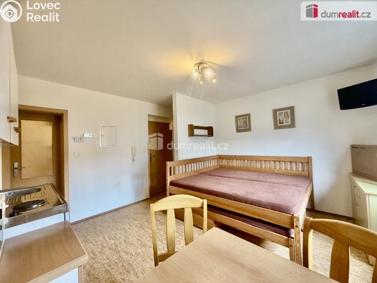 Pronájem bytu 1+KK Harrachov č. 2