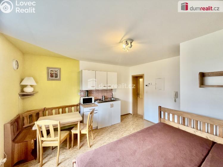 Pronájem bytu 1+KK Harrachov č. 5