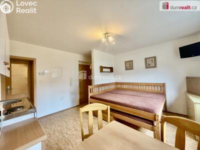 Pronájem bytu 1+KK Harrachov č. 2