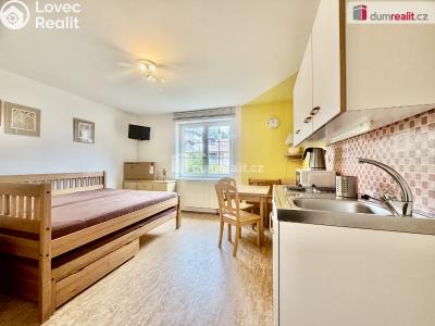 Pronájem bytu 1+KK Harrachov č. 4