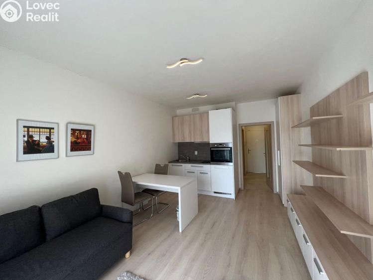 Pronájem bytu 1+KK Praha, Petrohradská 1570/5 č. 9