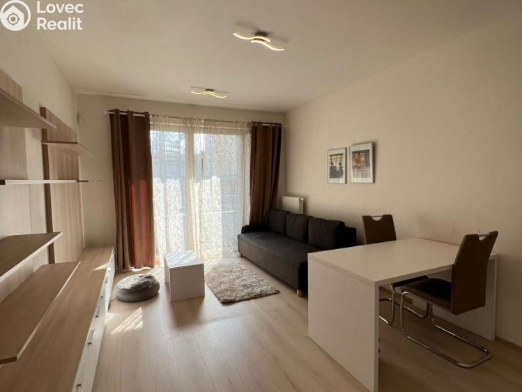 Pronájem bytu 1+KK Praha, Petrohradská 1570/5 č. 3