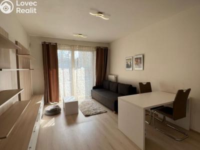 Pronájem bytu 1+KK Praha, Petrohradská č. 3