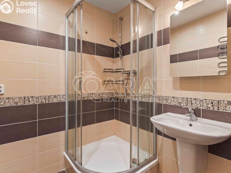 Pronájem bytu 2+1 Praha, Špirkova 525/8 č. 13