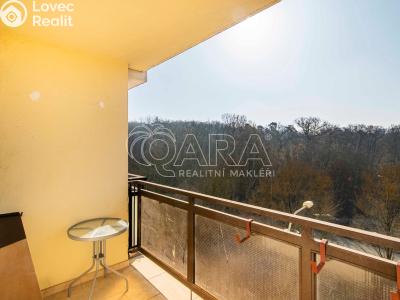 Pronájem bytu 2+1 Praha, Špirkova č. 2