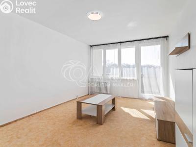 Pronájem bytu 2+1 Praha, Špirkova č. 6