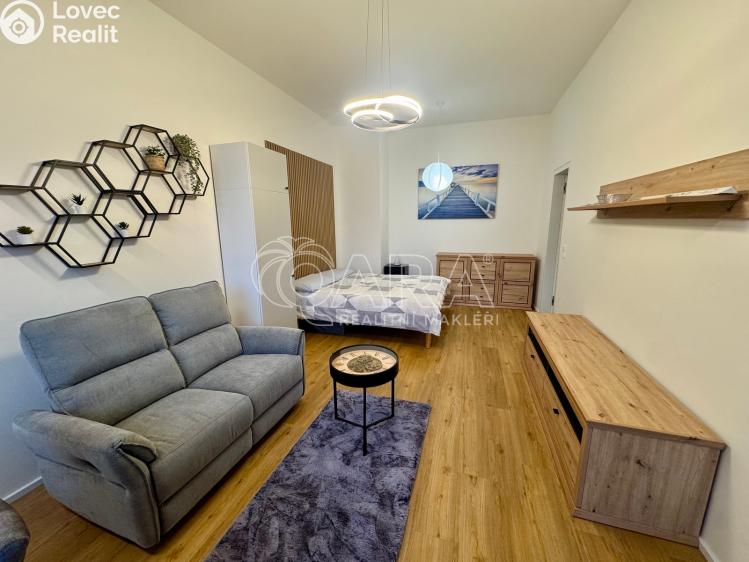 Pronájem bytu 1+KK Praha, Malešická 2698/47 č. 3