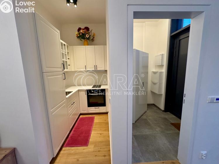 Pronájem bytu 1+KK Praha, Malešická 2698/47 č. 9