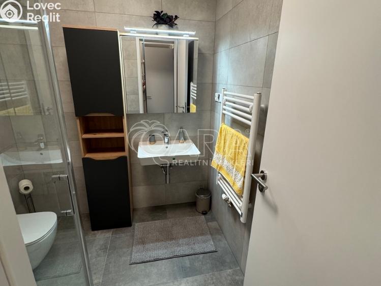 Pronájem bytu 1+KK Praha, Malešická 2698/47 č. 11