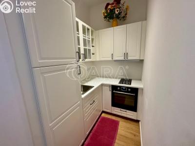 Pronájem bytu 1+KK Praha, Malešická č. 6