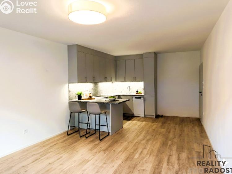 Pronájem bytu 2+KK České Budějovice, Štítného 39/15 č. 4