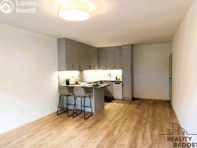 Pronájem bytu 2+KK České Budějovice, Štítného č. 4