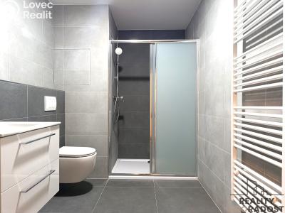 Pronájem bytu 2+KK České Budějovice, Štítného č. 6