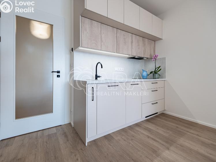 Pronájem bytu 1+KK Praha, Poděbradská 260/59 č. 11