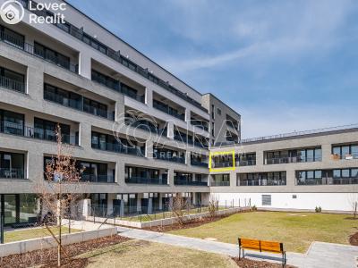 Pronájem bytu 1+KK Praha, Poděbradská č. 3