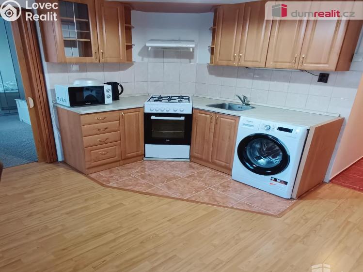 Pronájem bytu 1+1 Děčín, Jezdecká č. 1
