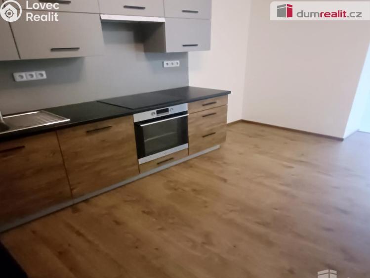 Pronájem bytu 2+KK Ústí nad Labem, Elišky Krásnohorské č. 3