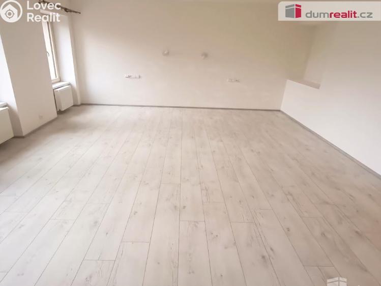 Pronájem bytu 2+KK Ústí nad Labem, Elišky Krásnohorské č. 5