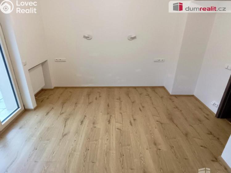 Pronájem bytu 2+KK Ústí nad Labem, Elišky Krásnohorské č. 11