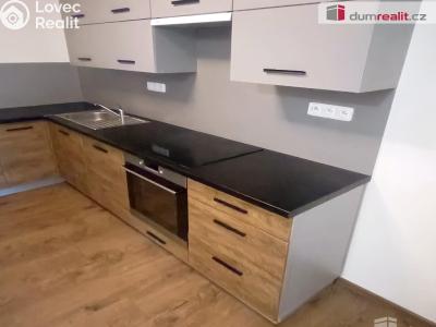 Pronájem bytu 2+KK Ústí nad Labem, Elišky Krásnohorské č. 2