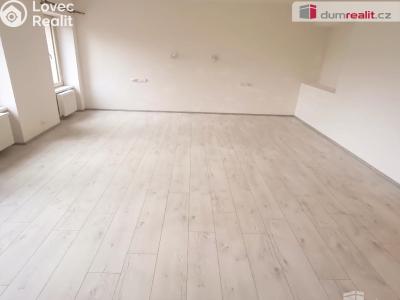 Pronájem bytu 2+KK Ústí nad Labem, Elišky Krásnohorské č. 5