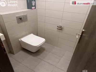 Pronájem bytu 2+KK Ústí nad Labem, Elišky Krásnohorské č. 6