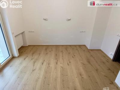 Rent apartment 2+KK Ústí nad Labem, Elišky Krásnohorské č. 11