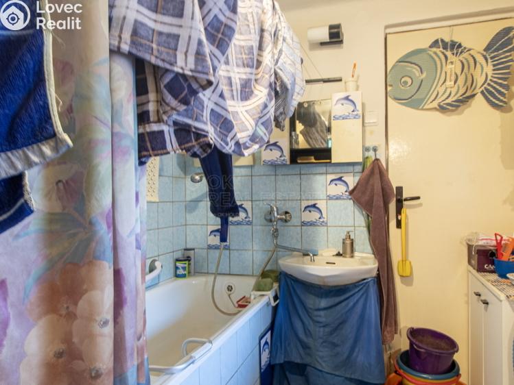 Продажа семейного дома Horní Dvořiště č. 12