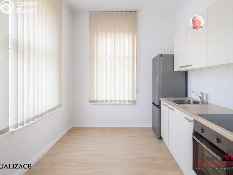 Sale commercial properties Příbor č. 11