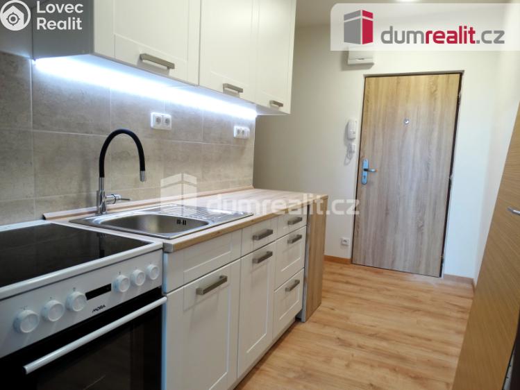 Pronájem bytu 1+1 Otrokovice, Školní č. 1