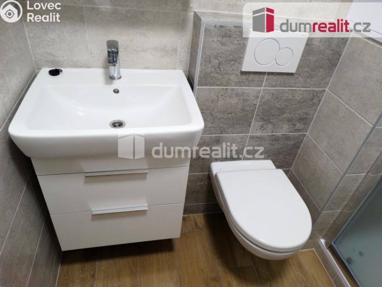 Pronájem bytu 1+1 Otrokovice, Školní č. 6