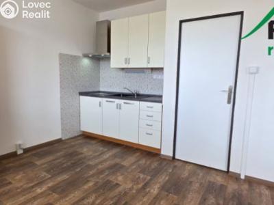 Pronájem bytu 1+1 Přimda, Nová č. 1