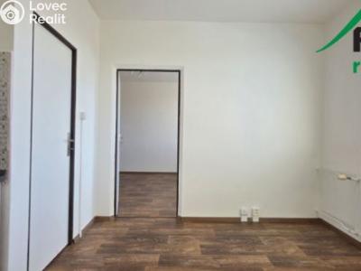 Pronájem bytu 1+1 Přimda, Nová č. 4