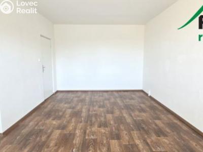 Pronájem bytu 1+1 Přimda, Nová č. 5