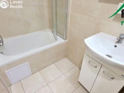 Pronájem bytu 1+1 Přimda, Nová č. 6