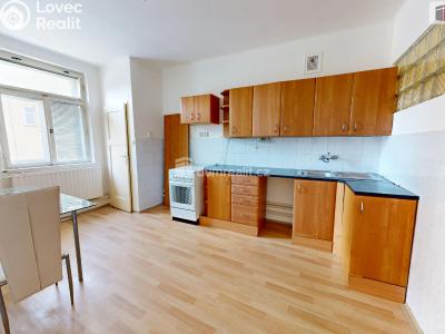 Аренда квартиры 2+1 Opava, Dolní náměstí č. 14