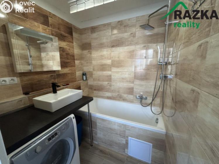 Pronájem bytu 3+1 Planá, Fučíkova č. 2