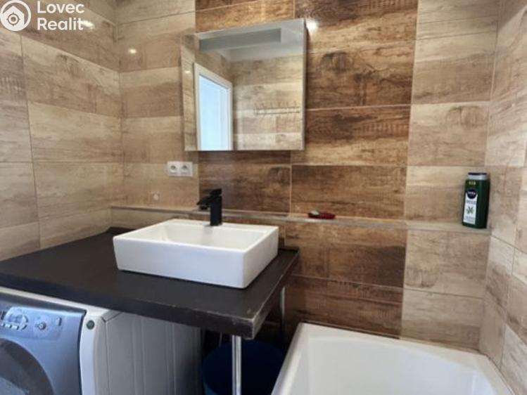 Pronájem bytu 3+1 Planá, Fučíkova č. 4