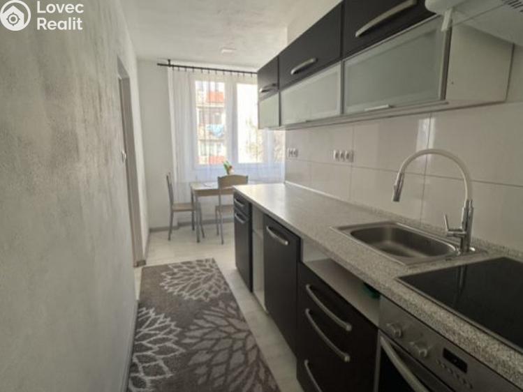 Pronájem bytu 3+1 Planá, Fučíkova č. 6