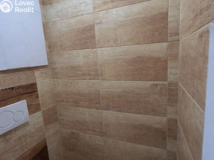 Pronájem bytu 3+1 Planá, Fučíkova č. 15