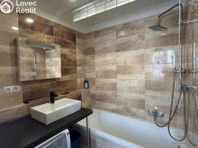 Pronájem bytu 3+1 Planá, Fučíkova č. 3