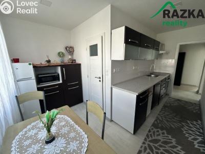 Pronájem bytu 3+1 Planá, Fučíkova č. 5