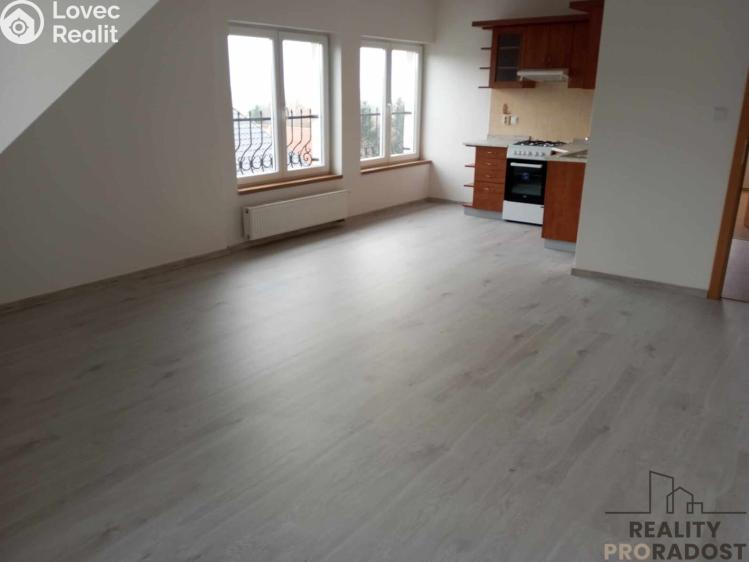 Pronájem bytu 2+KK Braškov, V Podlískách č. 4